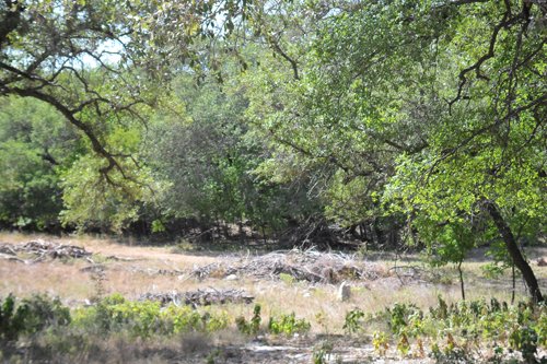 Property photo 4 - Bank Owned Real Estate Auction - San Antonio